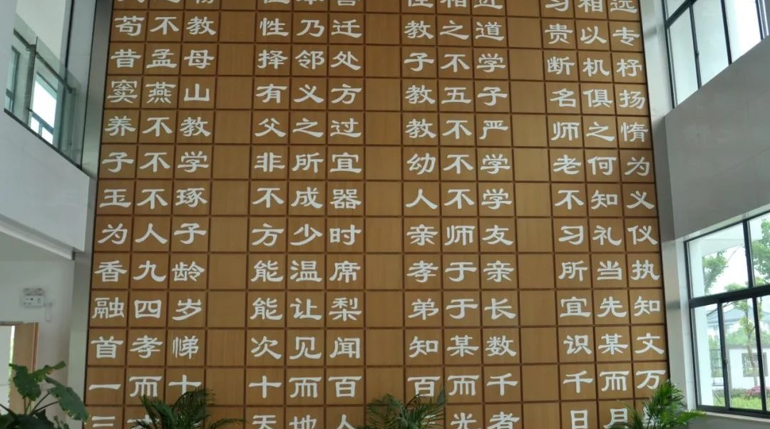 图片8